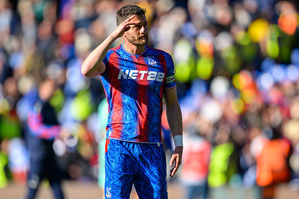Joel Ward during a Premier League match