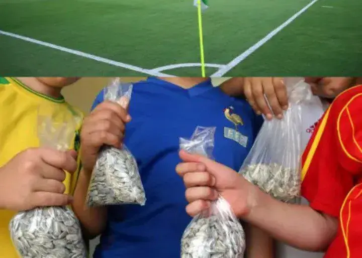 Sunflower Seeds Banned at Elche Stadium!