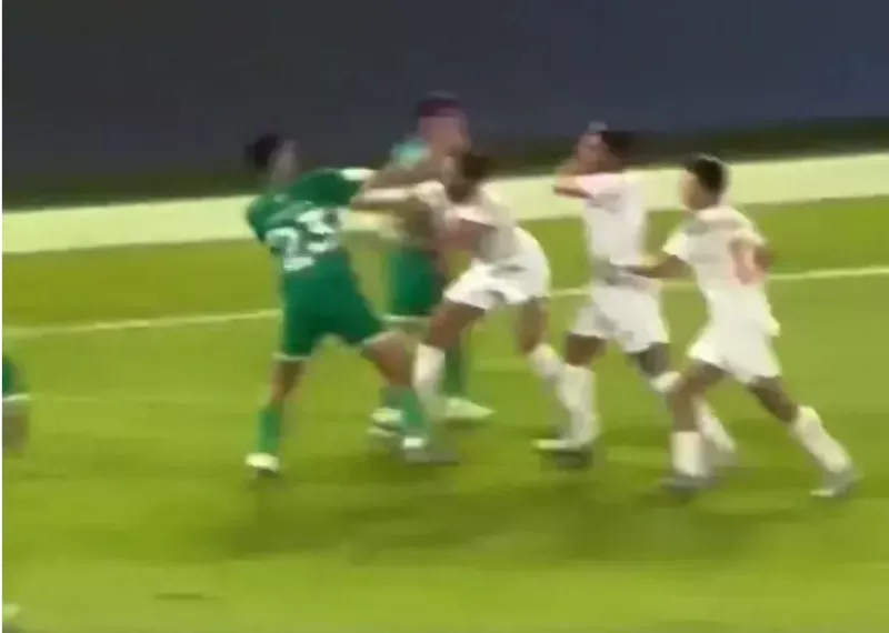 Unbelievable Brawl on the Pitch: 10 Minutes of Fists and Kicks!